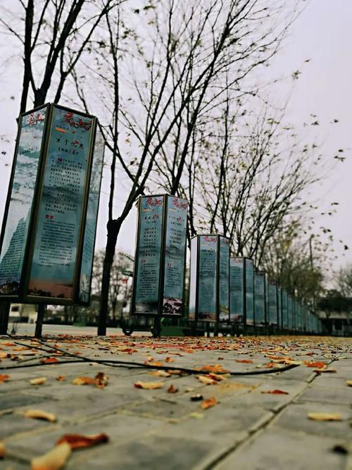 "岁月凝香,又见雪纷飞"相约郭家桥中心学校,共赏冬日之美景